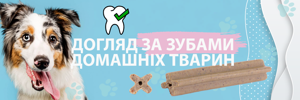 Турбота про зуби та порожнини рота у домашніх тварин: важливість та методи догляду фото