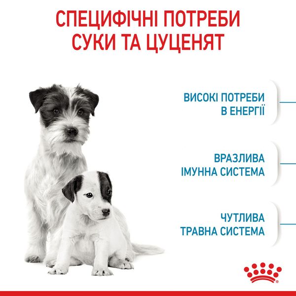 Royal Canin Mini Starter сухий кормдля собак дрібних порід в період вагітності і лактації 1 кг 2990010 фото