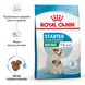 Royal Canin Mini Starter сухий кормдля собак дрібних порід в період вагітності і лактації 1 кг 2990010 фото 2