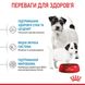 Royal Canin Mini Starter сухий кормдля собак дрібних порід в період вагітності і лактації 1 кг 2990010 фото 4