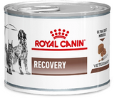 Royal Canin Recovery Лікувальні консерви для собак і кішок, 195 г 307717 фото