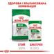 Royal Canin Adult Mini (Пауч) Консерви в соусі для собак малих порід 85 г 008256 фото 7