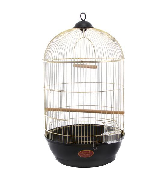 Клітка для малих та середніх птахів, кругла GOLDEN CAGE, 330 (DIVA) емаль біла 330 (DIVA) біла фото
