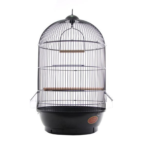Клітка для малих та середніх птахів, кругла GOLDEN CAGE, 330 (DIVA) емаль біла 330 (DIVA) біла фото