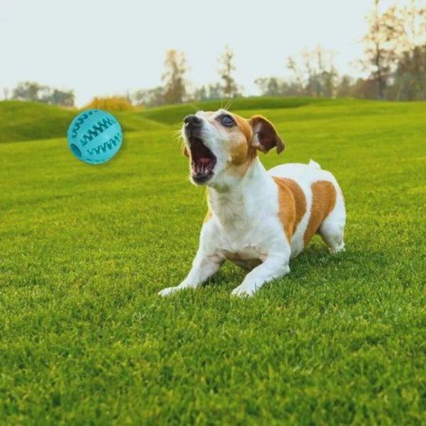 Іграшка Trixie для собак DentaFun М'яч бейсбольний 5 см 32880 фото