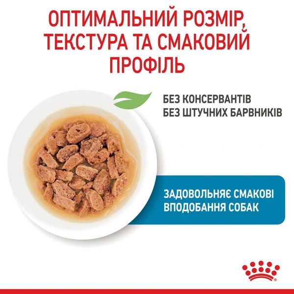 ROYAL CANIN MINI PUPPY влажный корм для щенков малых пород в соусе 85 г 10990019 фото