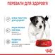 ROYAL CANIN MINI PUPPY влажный корм для щенков малых пород в соусе 85 г 10990019 фото 3