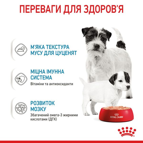 ROYAL CANIN STARTER Mousse влажный корм для новорожденных собак паштет 195г 4077002 фото