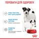 ROYAL CANIN STARTER Mousse влажный корм для новорожденных собак паштет 195г 4077002 фото 5